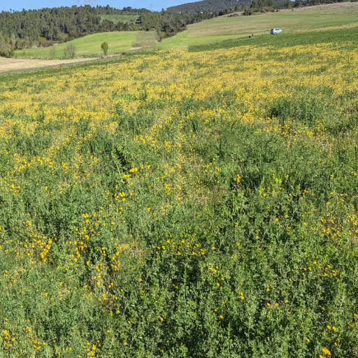 Combaillaux autrement 2026